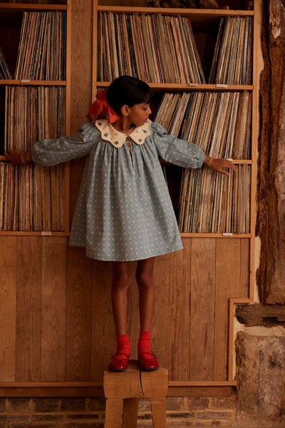 Apolina Esther Dress ~ Quilt Calico