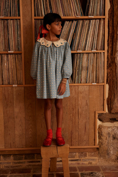 Apolina Esther Dress ~ Quilt Calico