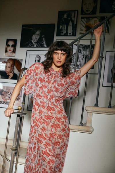 Natalie Martin Tiffany Dress ~ Chiffon Watercolor Dove