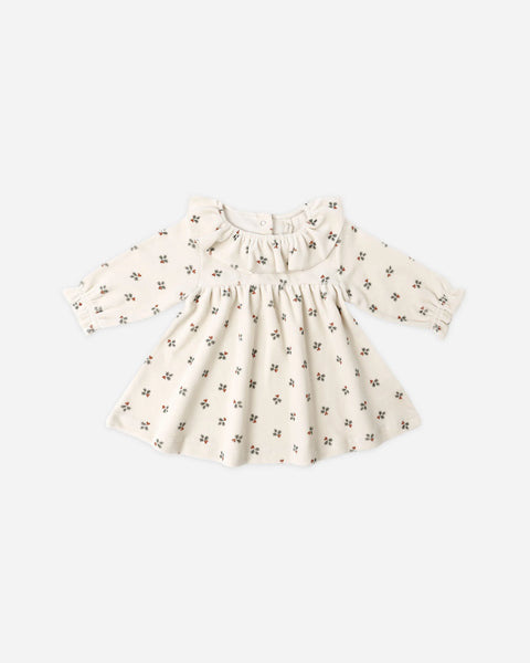 Quincy Mae Velour Baby Dress ~ Holly Berry