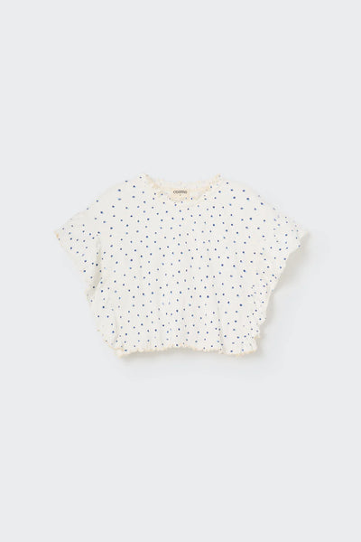Cozmo Floral Gauze Crop Top ~ Ivory Blue