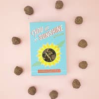 Sow the Magic You Are My Sunshine Garden Seed Ball Gift Box