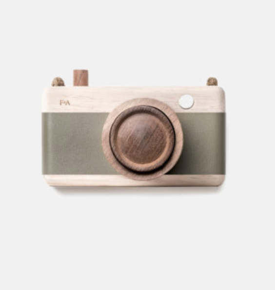 Fanny & Alexander Wooden Camera Fern Frond Green