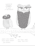 The Illustrated Compendium of Amazing Animal Facts By MAJA SÄFSTRÖM