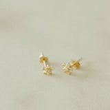 Mauve Jewelry Co. - Flower Mini Studs: Gold