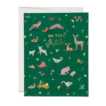 Red Cap Cards - Tiny Animals baby greeting card
