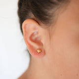 Pip Pop Post - Seashell