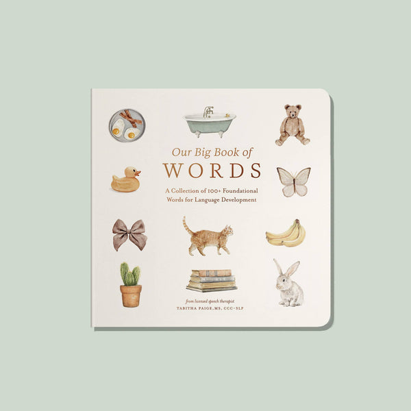 Paige Tate & Co. - Our Big Book of First Words