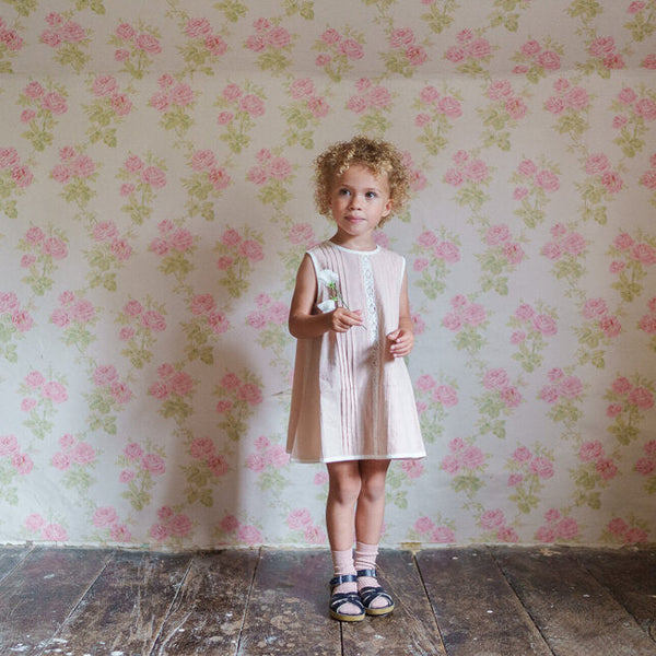 Little Cottons Hannah Dress ~ Powder