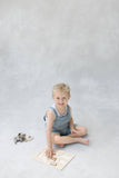 Paige Tate & Co. - Farm Animals Wooden Puzzle: A Tabitha Paige Puzzle