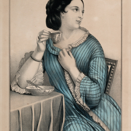 The Quiet Botanist - The Kindly Moon Sleep Tea