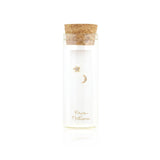 Kris Nations - Star and Moon Crystal Stud Earrings: 18K Gold Vermeil