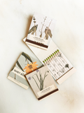 The Quiet Botanist -  Botanical Matches