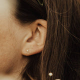 Mauve Jewelry Co. - Flower Mini Studs: Gold