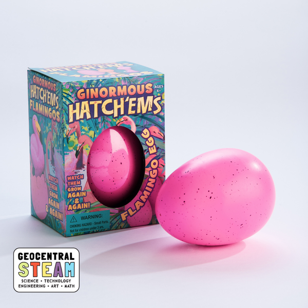 GeoCentral - Ginormous Flamingos (Hatch'ems) | Watch them Grow!