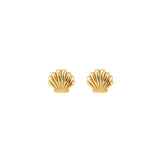 Kris Nations - Seashell Stud Earrings: 18K Gold Vermeil
