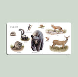 Paige Tate & Co. - Our Big Book of Animals (Board Book)