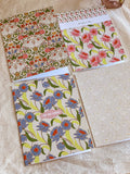 re:mused studio - Cambrifornia A2 Greeting Card: Single
