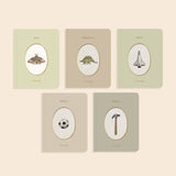 Paige Tate & Co. - Our Little Library Vol. 3 (5 Board Book Set)