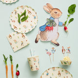 Meri Meri - Peter Rabbitâ„¢ Plates