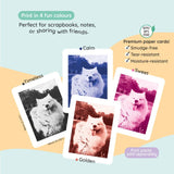 kiimento (formerly Kidamento) - Mint | Print Pro Camera