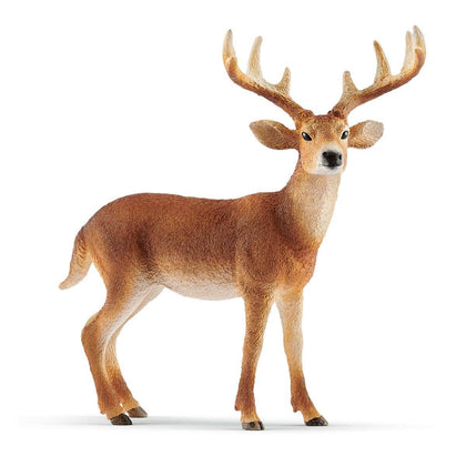 Schleich - White-Tailed Buck Forest Animal Toy