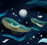 Speedy Monkey - Whale (large) - All Around the World