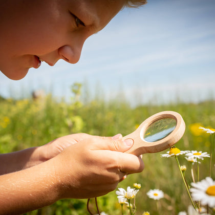 Kikkerland Design Inc - Huckleberry Dual Magnifier