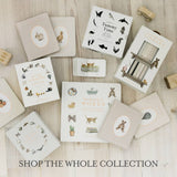Paige Tate & Co. - Our Little Library Vol. 3 (5 Board Book Set)