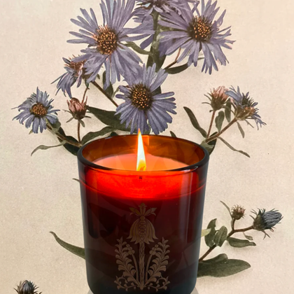 The Quiet Botanist - In The Weeds Candle
