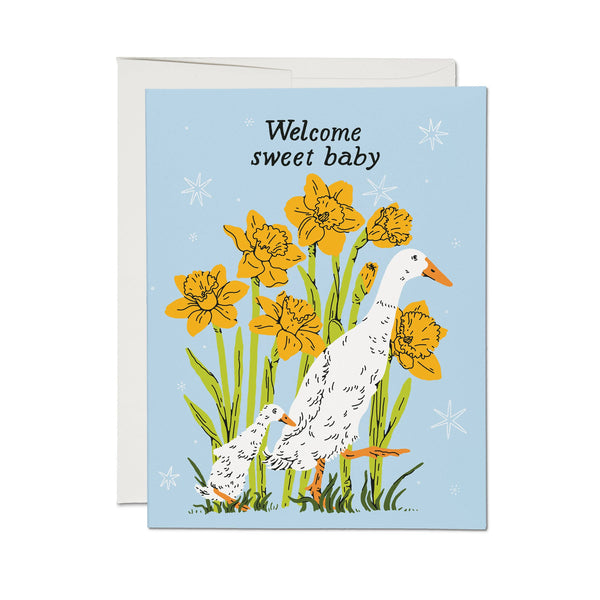 Red Cap Cards - Baby Goose greeting card
