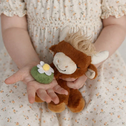 Olliella Binky Cow ~ Gus