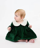 Oso & Me Delphine Baby Dress ~ Forest Corduroy