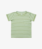 Oso & Me Willie T-shirt ~ Palm Stripe