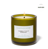 Flamingo Estate Climbing Tuscan Rosemary Candle