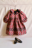 Bonjour Diary Dress  ~ Iris Print