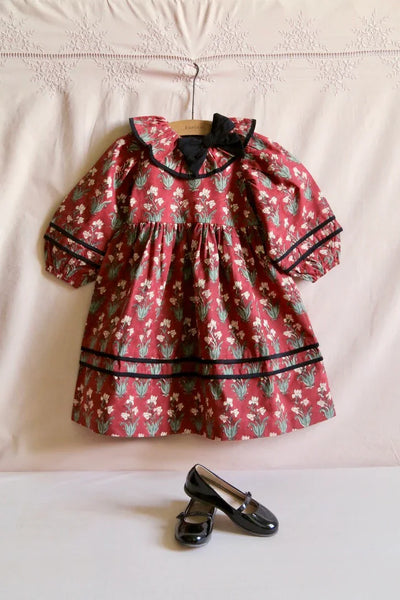 Bonjour Diary Dress  ~ Iris Print
