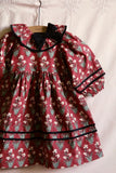 Bonjour Diary Dress  ~ Iris Print
