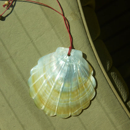 Natalie Martin Clam Shell Necklace