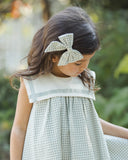 Noralee Daisy Dress ~ Eucalyptus Stripe
