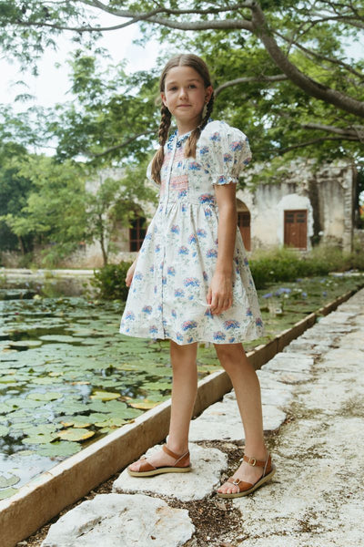 Lali Ivy Dress In Hydrangea Print