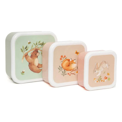 Petit Woodland Lunch Box Set ~ Bear