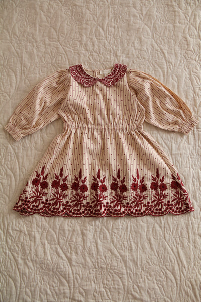 Bonjour Diary Embroidered Dress ~ Provencal Print