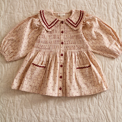 Bonjour Diary Tunic Dress ~ Provencal Print
