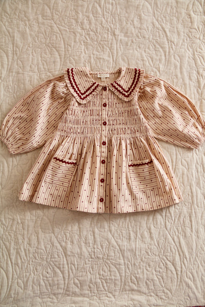 Bonjour Diary Tunic Dress ~ Provencal Print