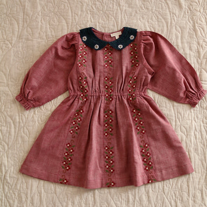 Bonjour Diary Embroidered Dress ~ Red Chambray