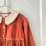 Little Cotton Clothes Nina Dress ~ Chutney Velvet
