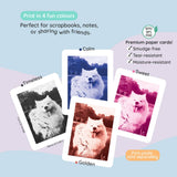 kiimento (formerly Kidamento) - Sky Blue | Print Pro Camera