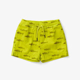 Lewis - Swim Trunks - Salmon | Chartreuse: 6Y