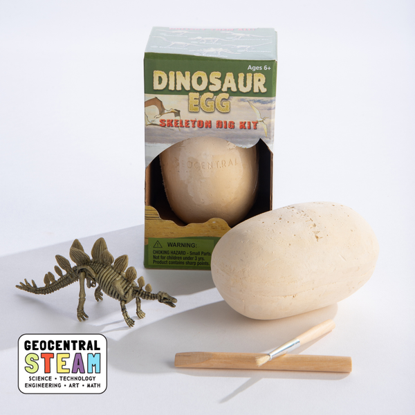 GeoCentral - Dig Kit: Dinosaur Egg with Skeleton